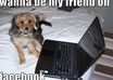 accept you as my friend on facebook where I have over 700 highly respectable marketing friends small2