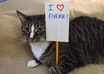 send you a unique picture of my cat holding a sign with your message on it, fun and cute small2