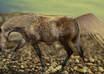 create a custom, BEAUTIFUL photo manipulation of your pet small2