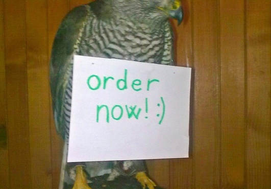 alt_text.html_safe