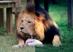 edit Your Video and Add Custom Effects to Make it More Appealing small2