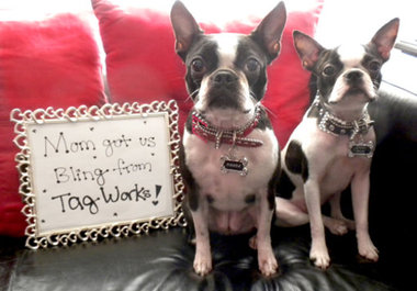 make an adorable Doggie Sign big2