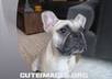 professionally watermark your videos as you wish small2