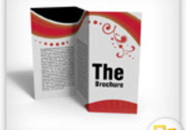create a professional eye catching brochure for you or your company big2