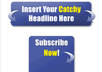 create you a basic squeeze page small2