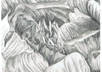 make a black and white drawing for you small2