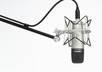 record a 60 second voice over from your script to promote your product or website small2