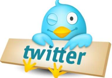 use my Hooter Girl powers and blast my Twitter account 100 times over 5 days telling my friends VISIT your url big2