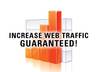 send 350,000 real visitors to your website small2