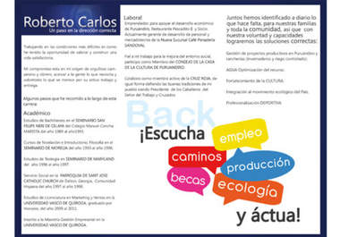 design a professional and attractive BROCHURE big2