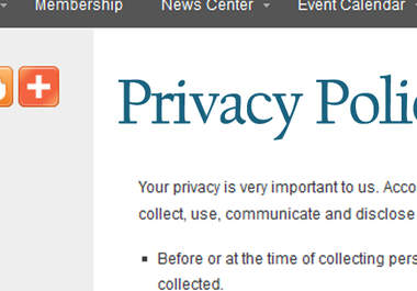 write a customized Privacy Policy and Terms of Service for your Website big2