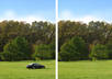 remove unwanted junk from your photos small2