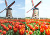 transform your 3 photos into watercolor paintings so you can give them out as gifts small2