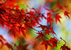 create a 2 or 3 Minute Film or SlideShow that will Help to Instill a Sense of Peace small2