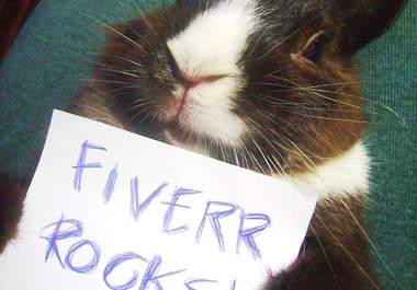 have my sweet bunny hold your message big2