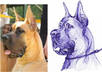 draw a Cute PORTRAIT of Your Pet or any Animal in Pen or Pencil small2