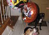 give you advice and tips on you how to train a dog and do tricks small2
