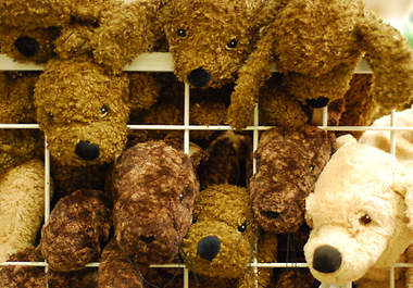 send you a picture of a cute toy behind bars in jail big2