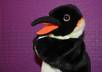 ask Penguino to make a 40 sec video about anything you want eng,esp,de,rus small2