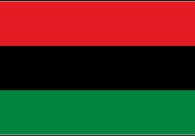 send you a Large Black Power Flag Tee big2