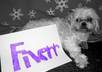 have my dog hold up a piece of paper saying your buisness name small2