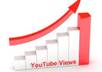 give you guaranteed 3000 real human youtube views to your youtube video small2