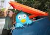 delete all your nonfollowers on your TWITTER small2