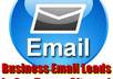 send you a listing of  business email contact leads in any given town city or country small2