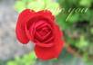 create beautiful eCard for You to send your family, friends, and lover small2