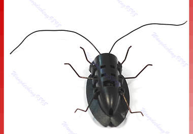 send you this amazing New Solar Powered Toy 6 Legs Black Cockroach with FREE shipping Worldwide Only big2