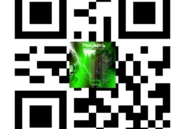 create 2 custom made QR codes with your logo or image join the new hype before your competition does big2