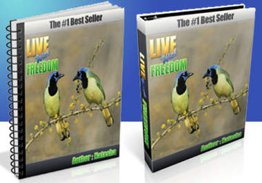create High Quality, PROFESSIONAL ecover/box, dvd, cd cover big2