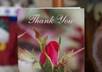 send a floral greeting card with a handwritten message in English to anyone in the world small2