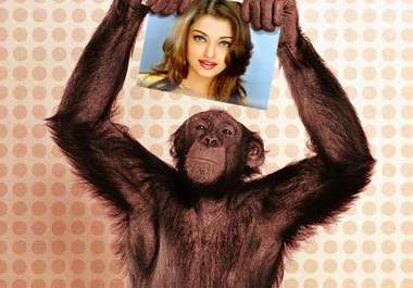 take a picture of monkey holding your picture or messages big2