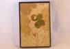 send you a genuine four leaf clover small2