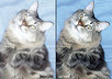 professionally edit and fix your picture small2