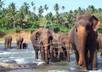 send you information about beautiful places in SriLanka small2