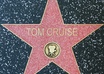 write your name/business name on  a star in Hollywood walk of fame small2