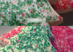 edit your photo with beautiful colors of your choice small2