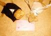 take a picture of my bearded dragons in a bridal gown and tux with your message small2