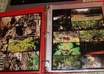 mail you an 8X10 of my photography collage or single shot small3