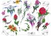 give you 1000 awesome tattoo designs for your next tattoo small3