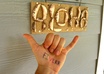 write anything on my hand in a Hawaiian Shaka/Hang Loose pose and send you 5 photos small3