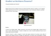 translate up to 500 words from English to Italian small3