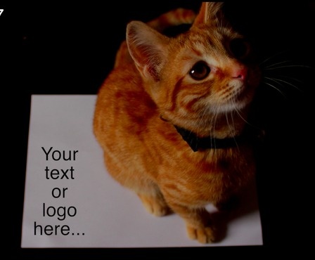 alt_text.html_safe