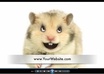 create an animated Greeting, Advertisement Message by Hannah, Harry the Hamster small3