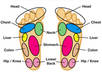 send you a Foot Care Device you can use it or send it to a soldier reflexology foot massagers small3