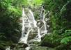 help you with ecotourism in Leyte, Philippines small3