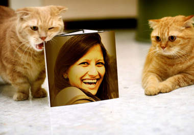 create a beautiful image of two cute kittens holding your portrait photo big3