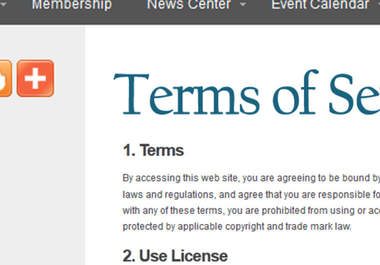 write a customized Privacy Policy and Terms of Service for your Website big3